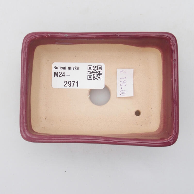 Ciotola bonsai in ceramica 10 x 7 x 3 cm, rosa