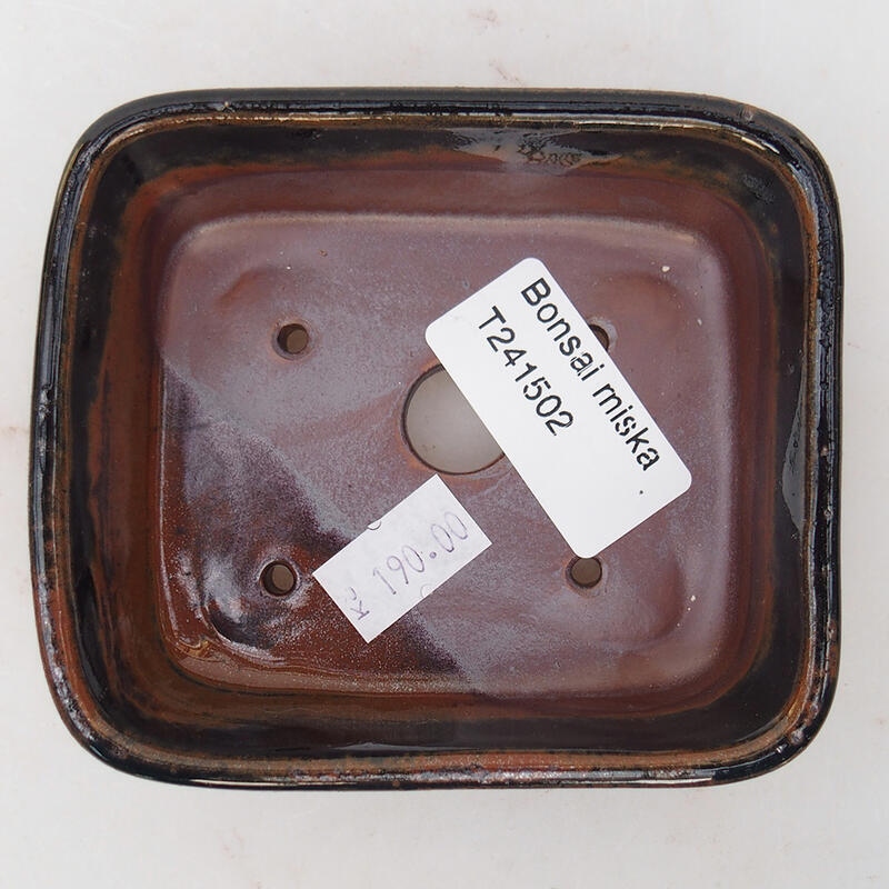 Ciotola per bonsai in ceramica 10 x 8,5 x 3,5 cm, nero