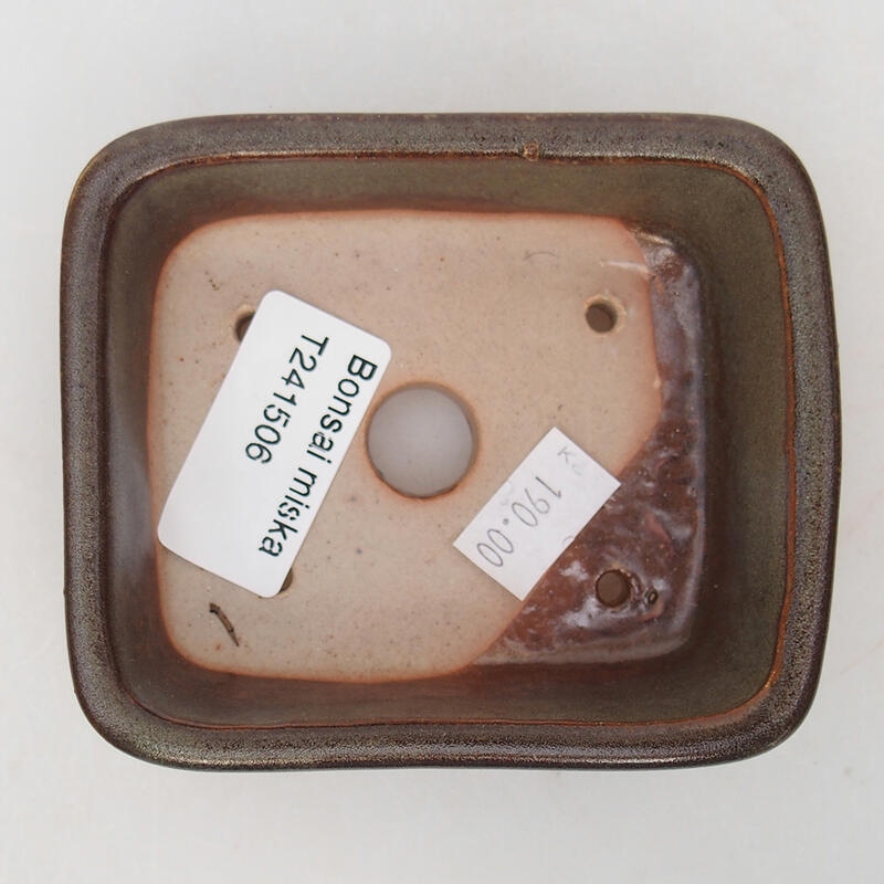 Ciotola bonsai in ceramica 10 x 8,5 x 3,5 cm, grigio