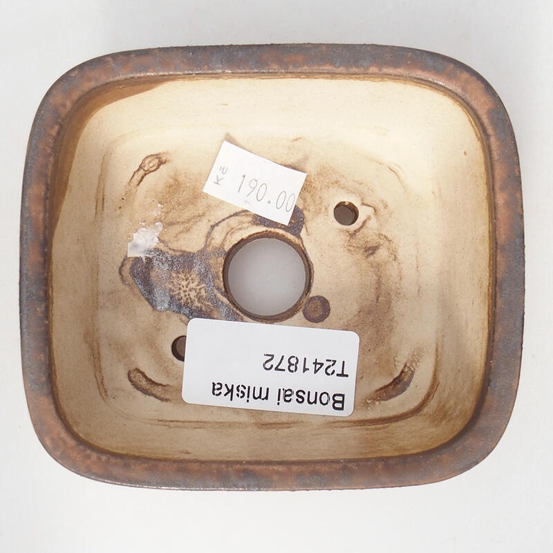 Ciotola per bonsai in ceramica 10 x 8,5 x 4 cm, marrone