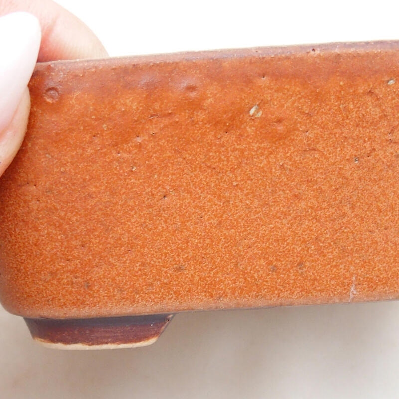 Ciotola per bonsai in ceramica 10 x 8,5 x 4 cm, marrone