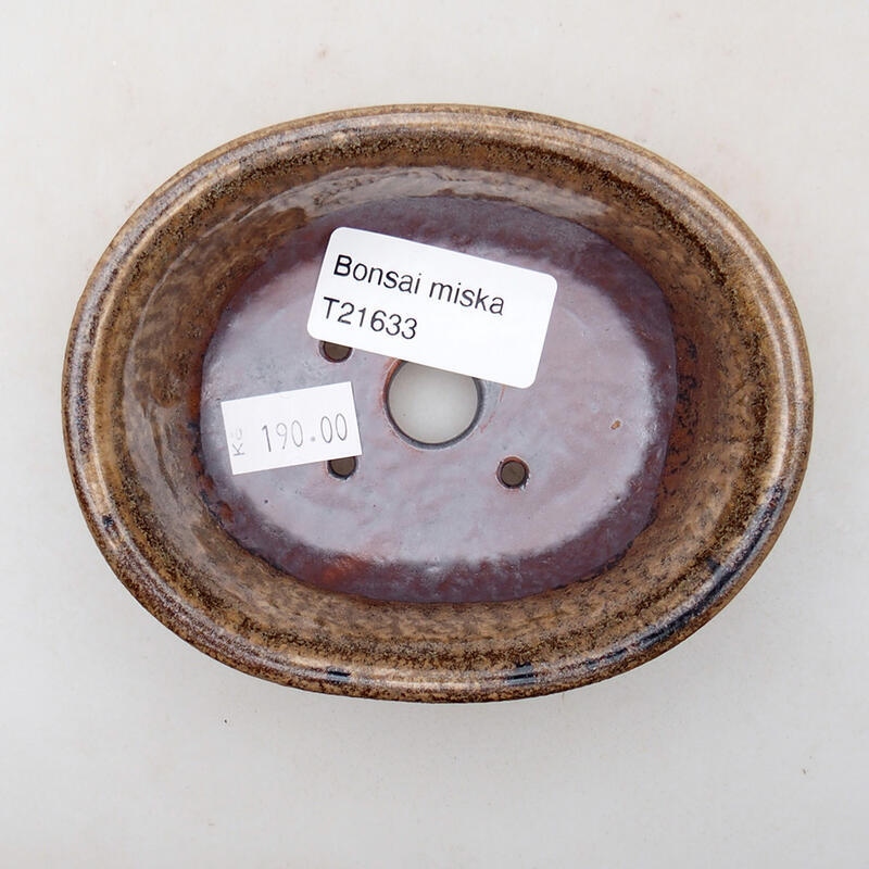 Ciotola per bonsai in ceramica 10 x 8,5 x 4 cm, marrone