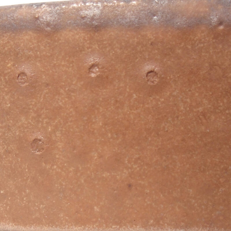 Ciotola per bonsai in ceramica 10 x 8,5 x 4 cm, marrone