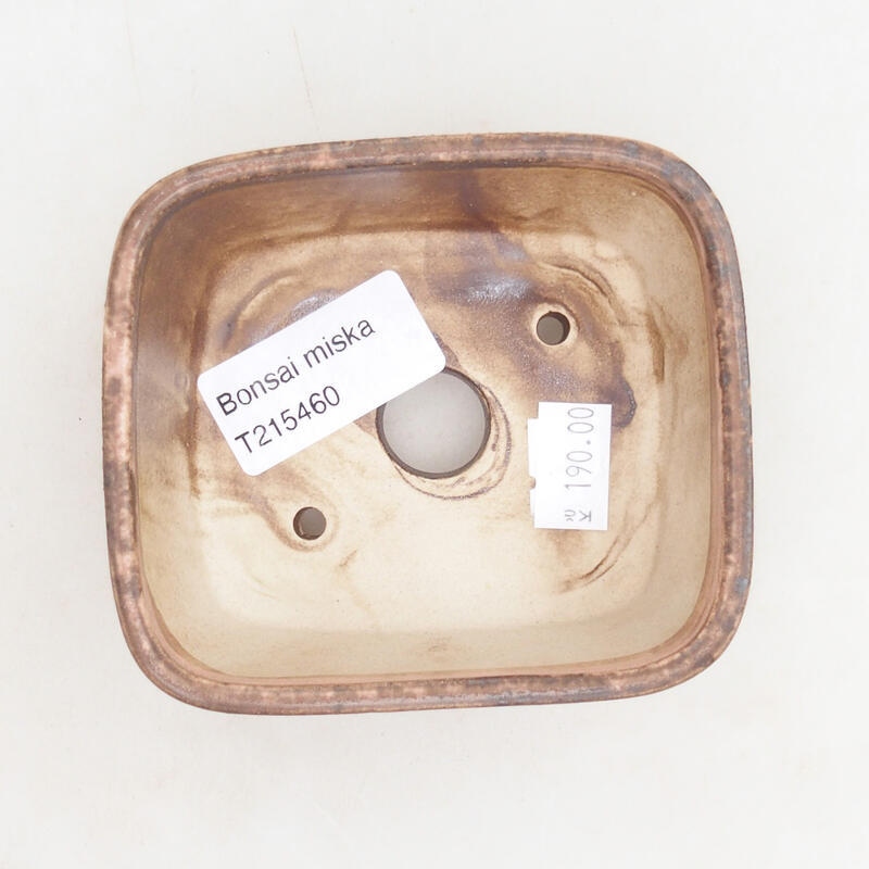 Ciotola per bonsai in ceramica 10 x 8,5 x 4 cm, marrone