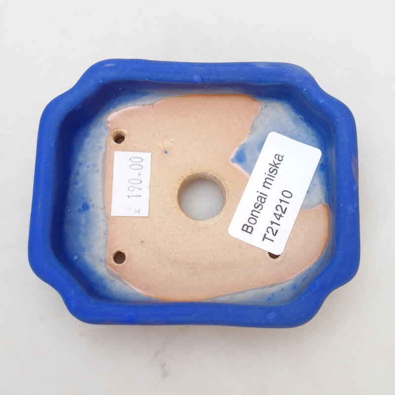Ciotola per bonsai in ceramica 10 x 8 x 2,5 cm, colore blu