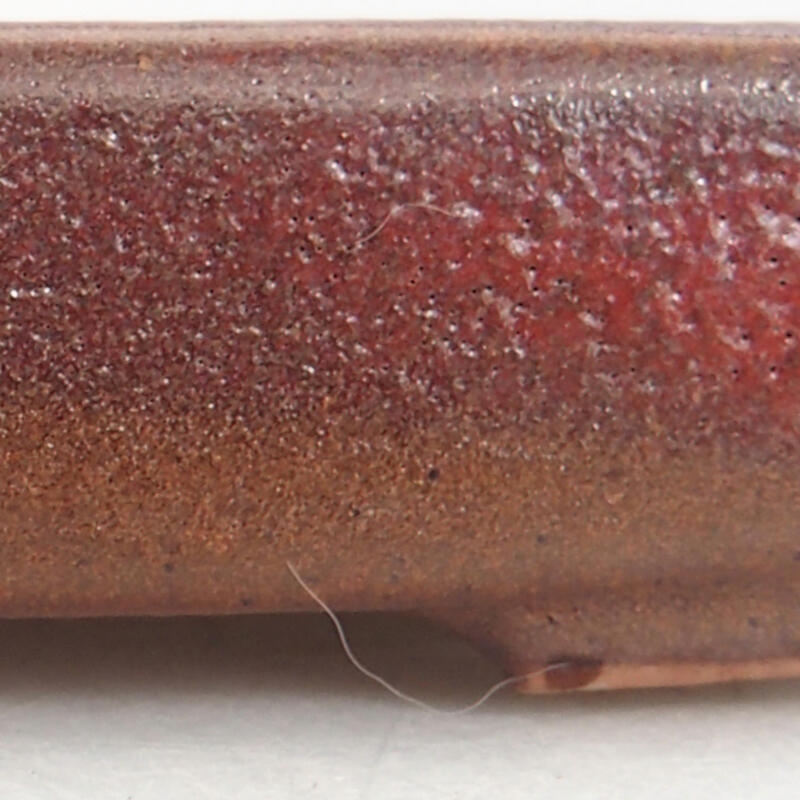 Ciotola bonsai in ceramica 10 x 8 x 2 cm, bordeaux