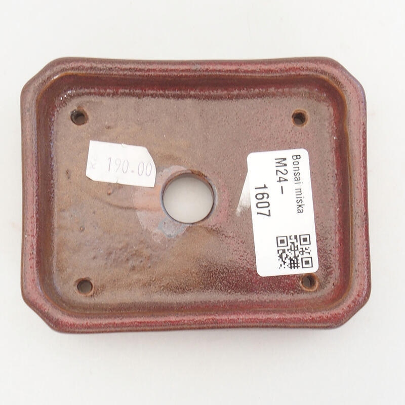 Ciotola bonsai in ceramica 10 x 8 x 2 cm, bordeaux