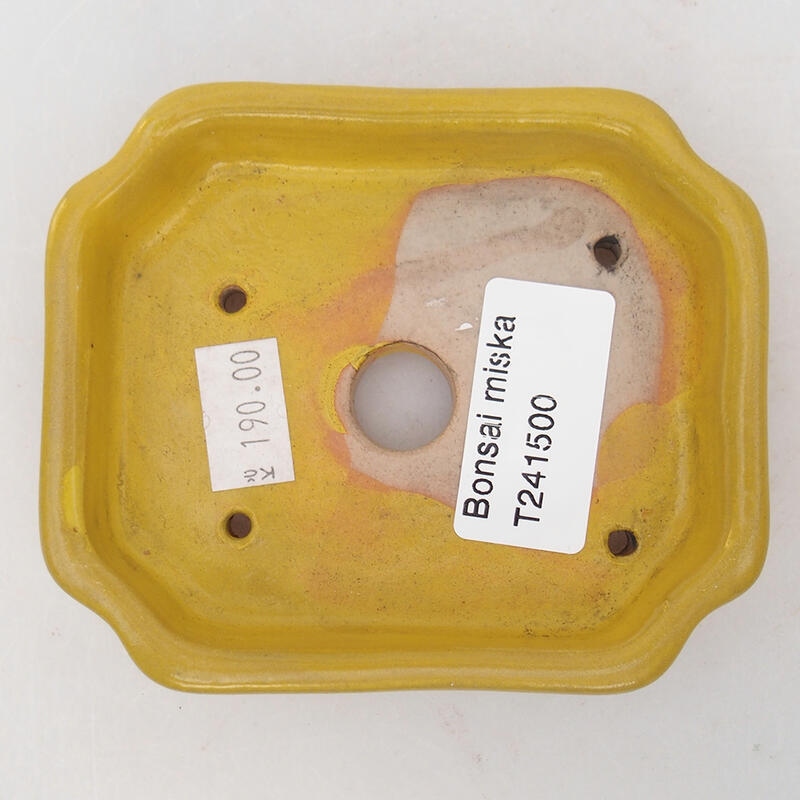 Ciotola per bonsai in ceramica 10 x 8 x 2 cm, giallo