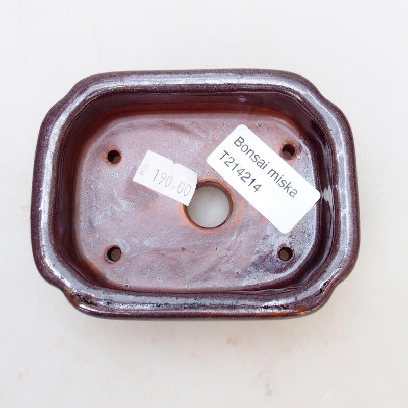 Ciotola per bonsai in ceramica 10 x 8 x 3,5 cm, marrone