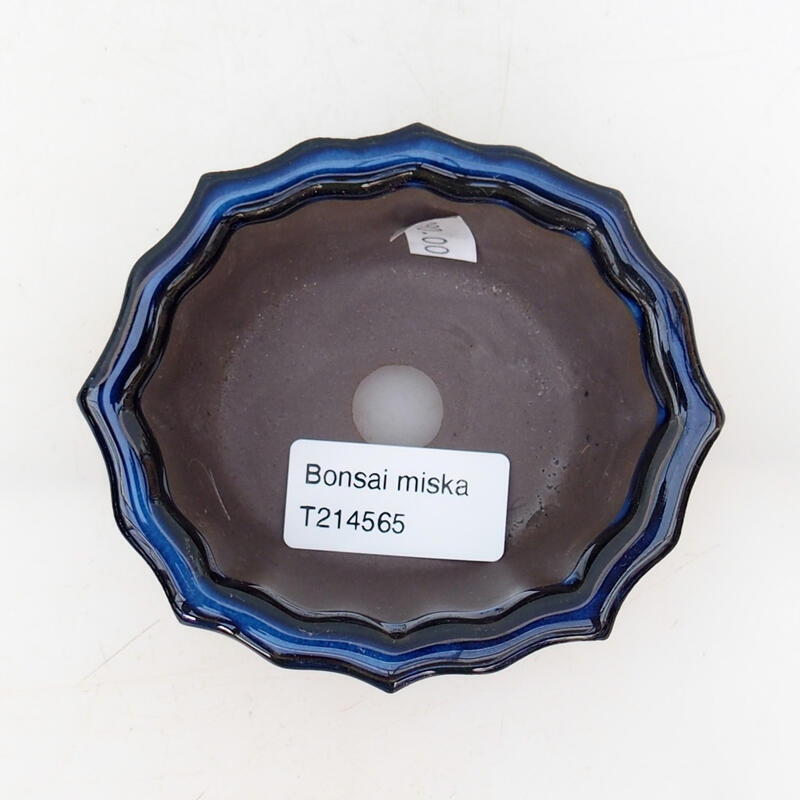 Ciotola bonsai in ceramica 10 x 9 x 4,5 cm, colore blu