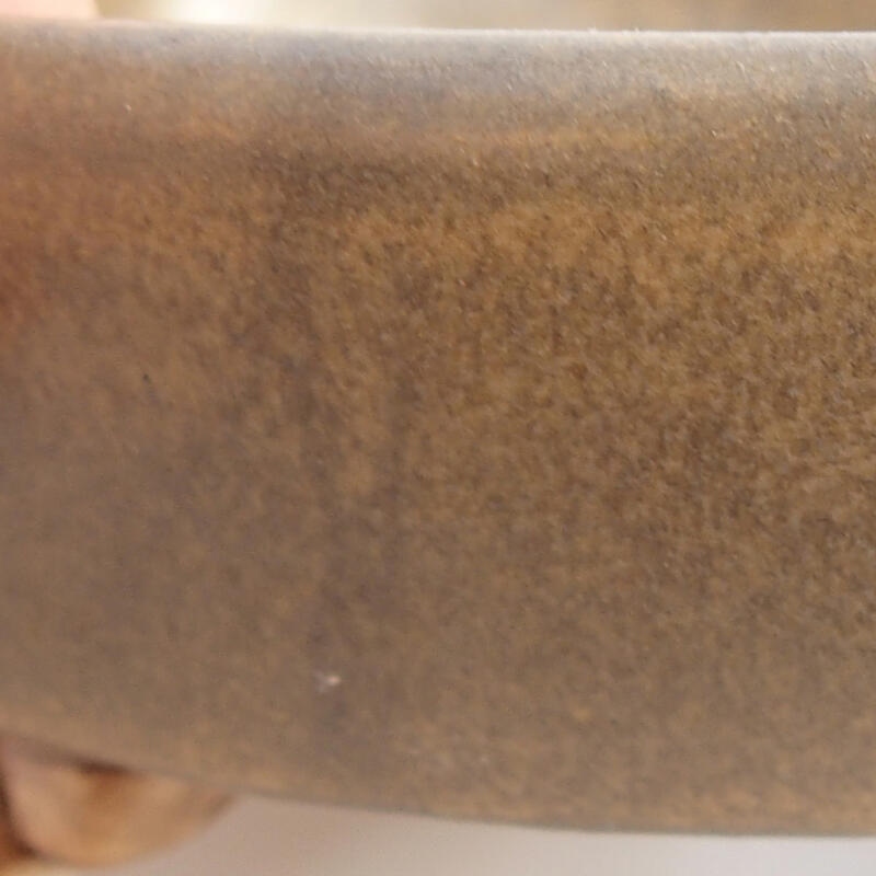 Ciotola per bonsai in ceramica 11,5 x 10 x 3,5 cm, marrone