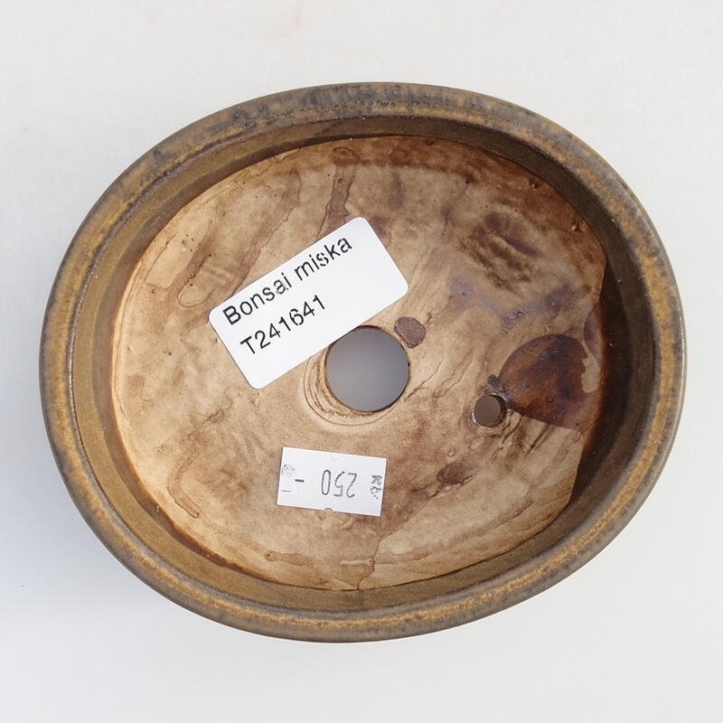 Ciotola per bonsai in ceramica 11,5 x 10 x 3,5 cm, marrone