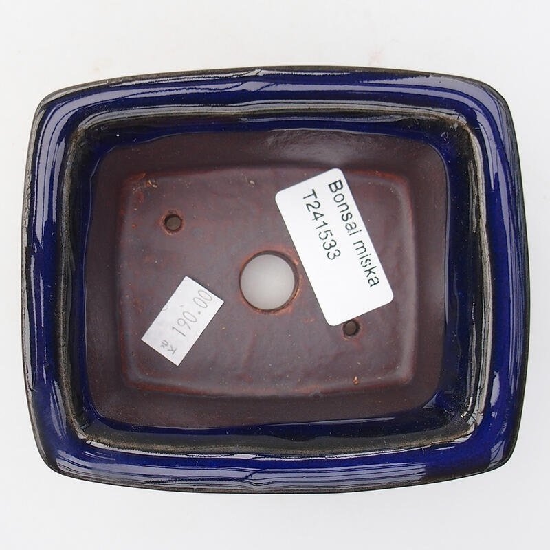 Ciotola bonsai in ceramica 11,5 x 10 x 4,5 cm, colore blu