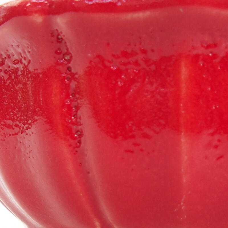 Ciotola per bonsai in ceramica 11,5 x 11,5 x 5 cm, colore rosso