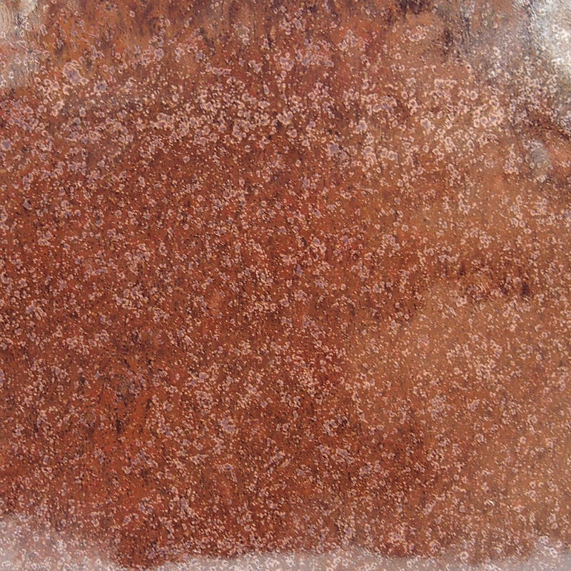 Ciotola per bonsai in ceramica 11,5 x 11,5 x 9 cm, verde