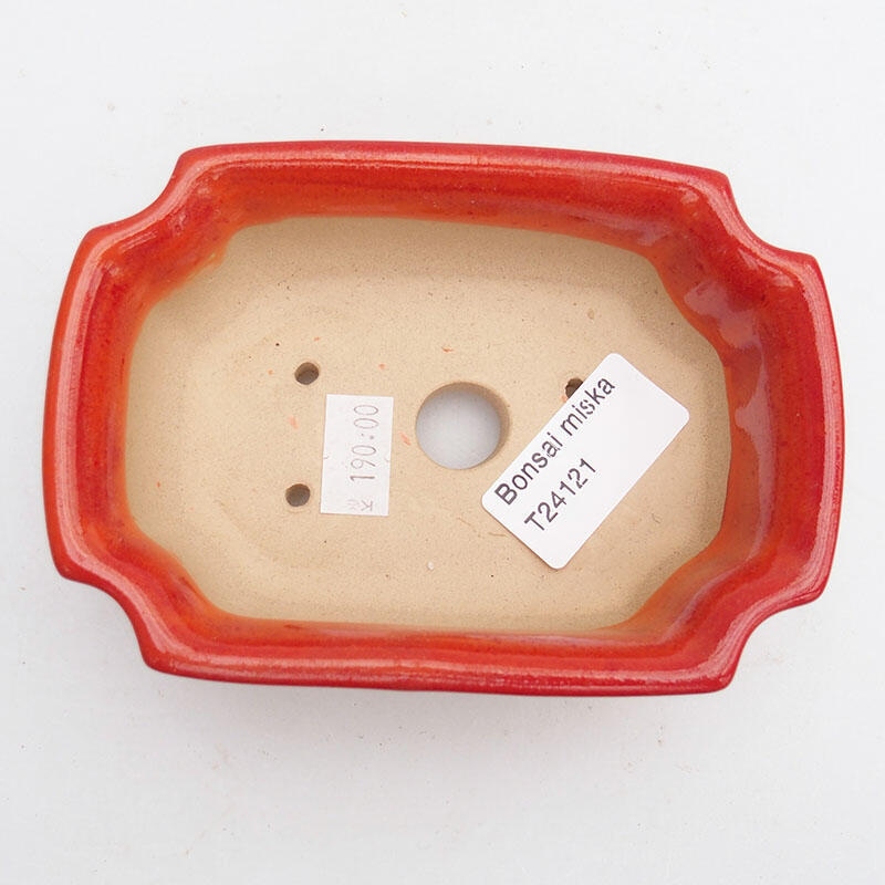 Ciotola per bonsai in ceramica 11,5 x 8,5 x 4 cm, colore rosso-arancio