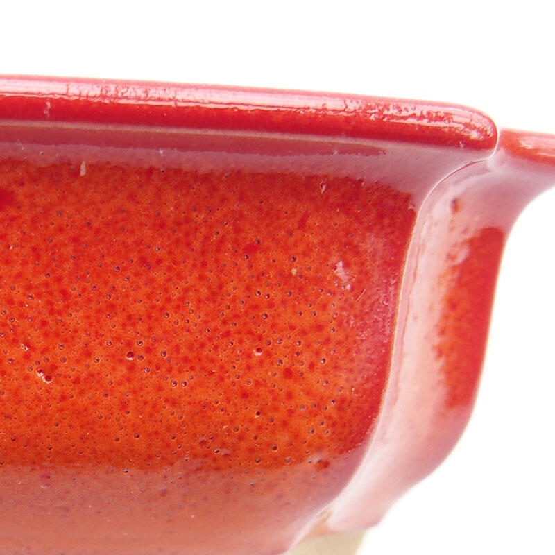 Ciotola per bonsai in ceramica 11,5 x 8,5 x 4 cm, colore rosso-arancio