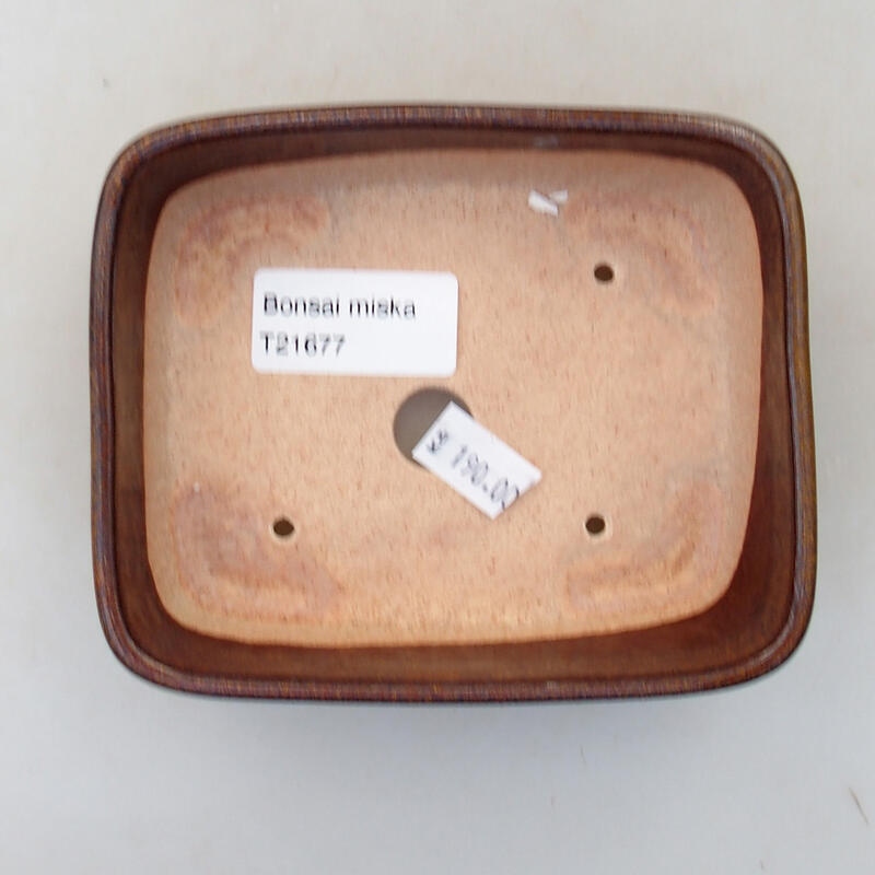 Ciotola per bonsai in ceramica 11,5 x 9,5 x 3,5 cm, marrone