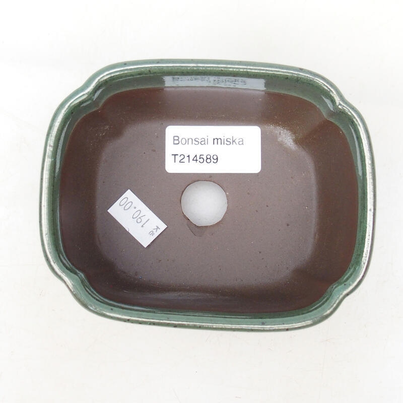 Ciotola per bonsai in ceramica 11,5 x 9 x 5,5 cm, verde