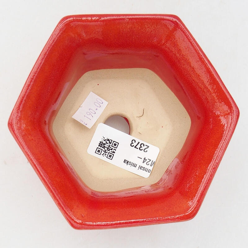 Ciotola per bonsai in ceramica 11 x 10 x 5,5 cm, colore rosso