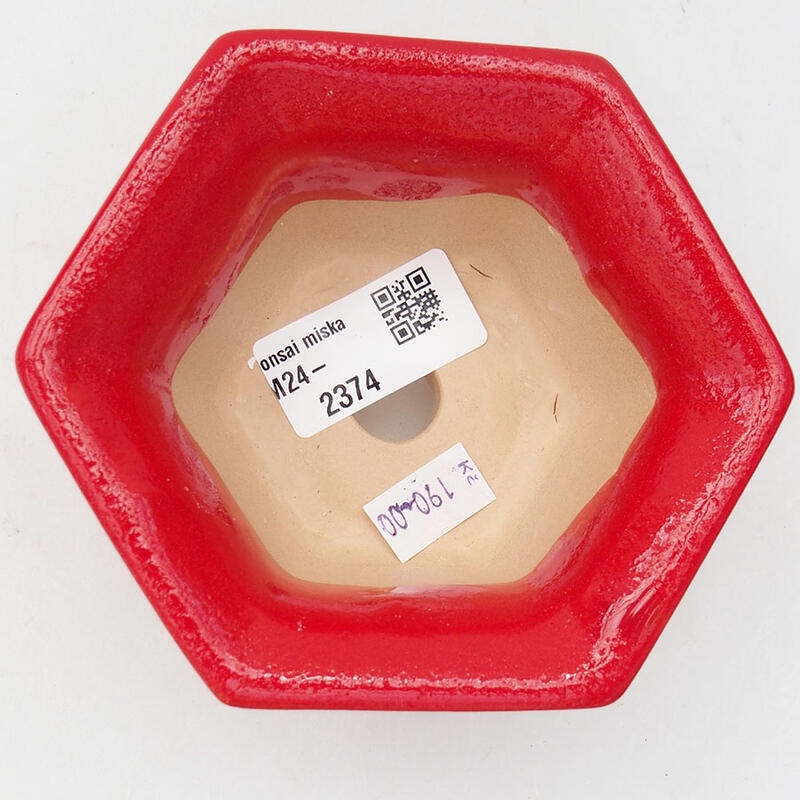 Ciotola per bonsai in ceramica 11 x 10 x 5,5 cm, colore rosso