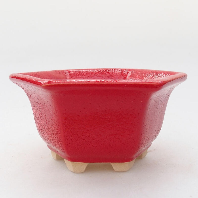 Ciotola per bonsai in ceramica 11 x 10 x 5,5 cm, colore rosso