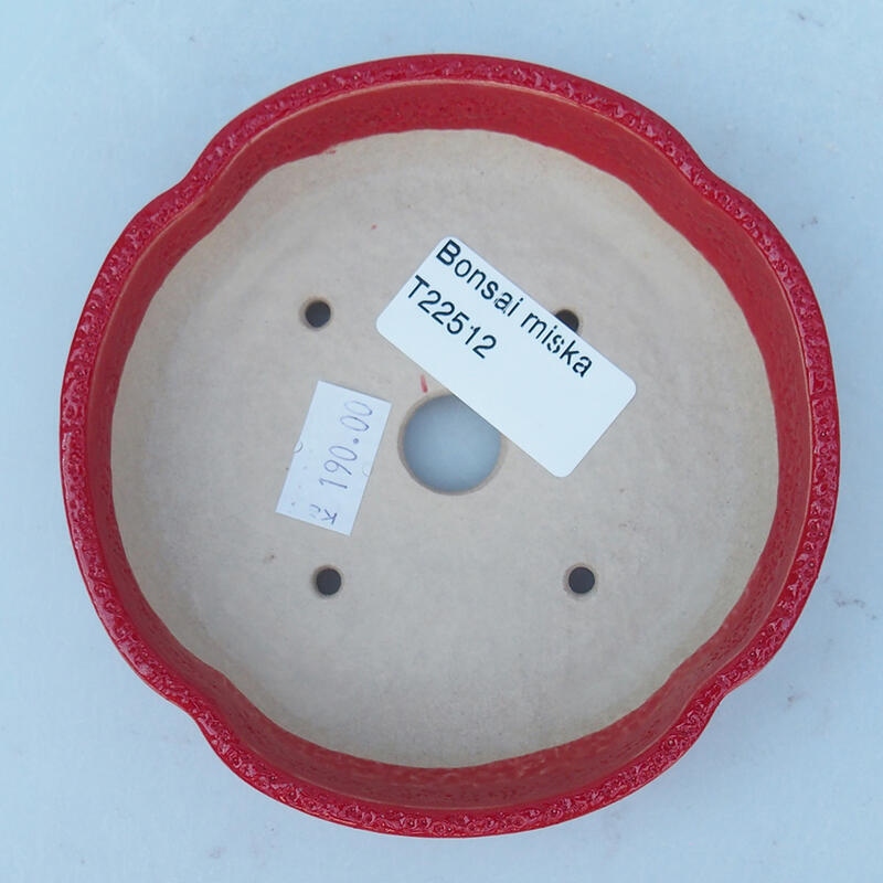 Ciotola per bonsai in ceramica 11 x 11 x 2,5 cm, colore rosso