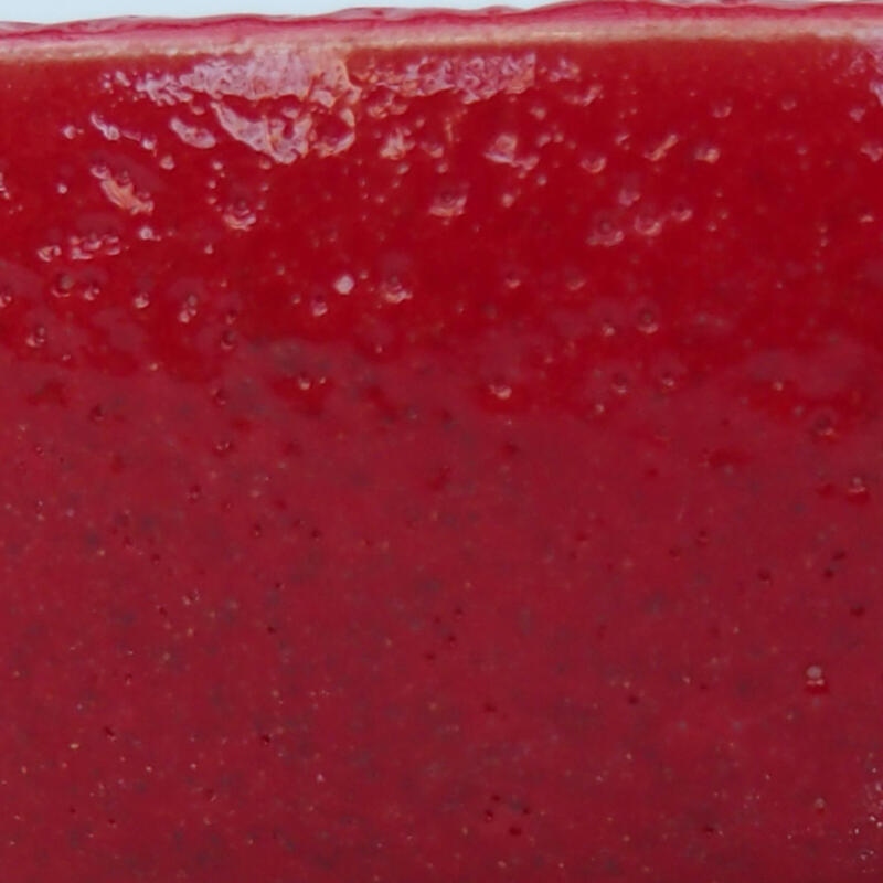 Ciotola per bonsai in ceramica 11 x 11 x 2,5 cm, colore rosso