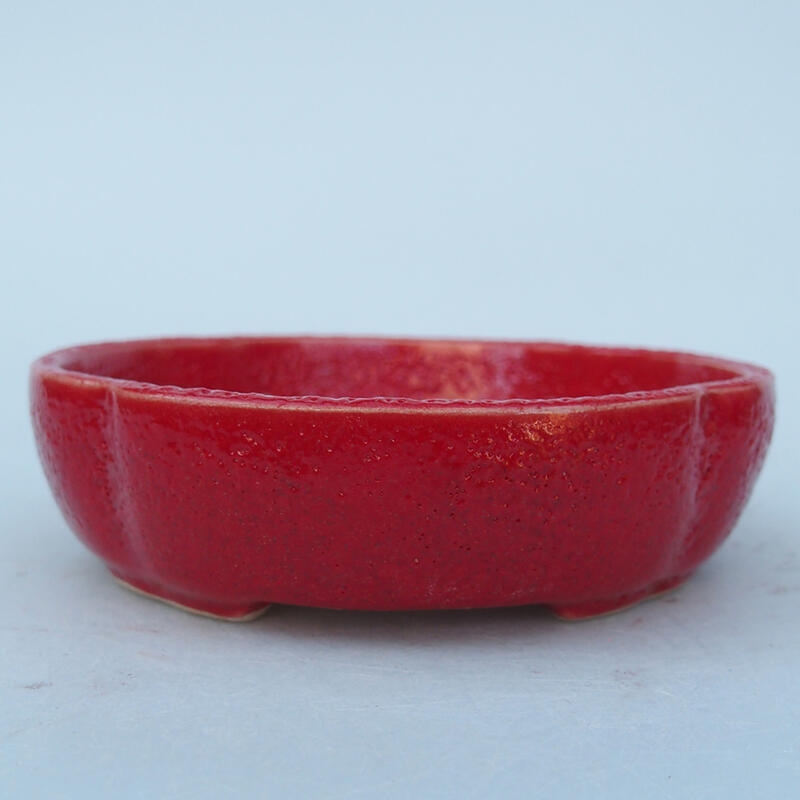 Ciotola per bonsai in ceramica 11 x 11 x 2,5 cm, colore rosso
