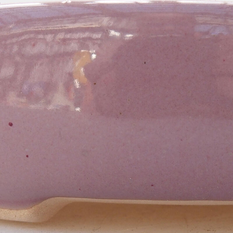 Ciotola per bonsai in ceramica 11 x 11 x 3 cm, colore viola