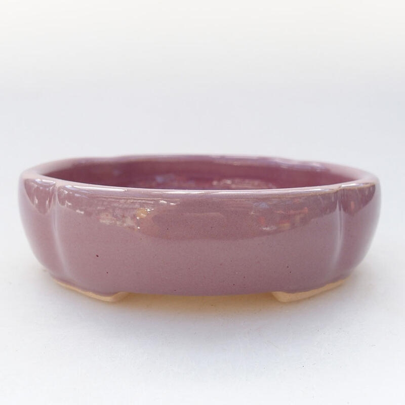 Ciotola per bonsai in ceramica 11 x 11 x 3 cm, colore viola