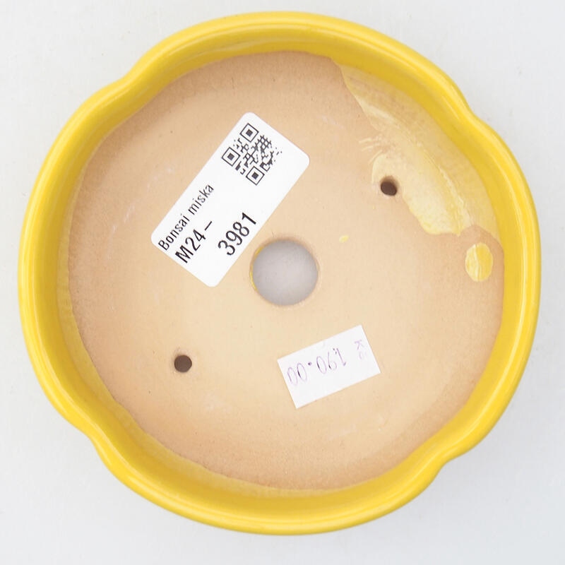 Ciotola bonsai in ceramica 11 x 11 x 3 cm, giallo