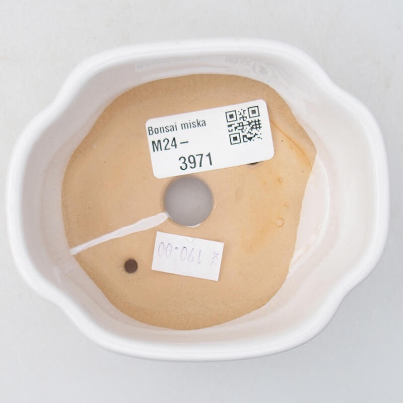 Ciotola bonsai in ceramica 11 x 8,5 x 3,5 cm, bianco