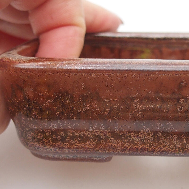 Ciotola per bonsai in ceramica 11 x 8 x 3 cm, marrone