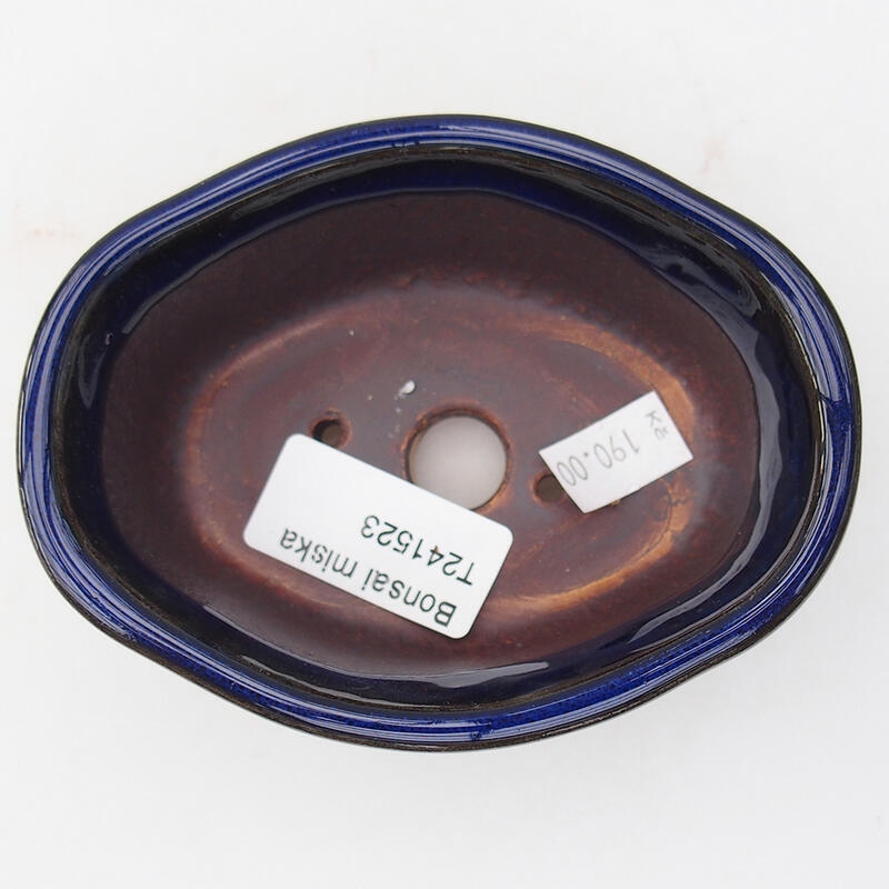 Ciotola bonsai in ceramica 11 x 8 x 4,5 cm, colore blu