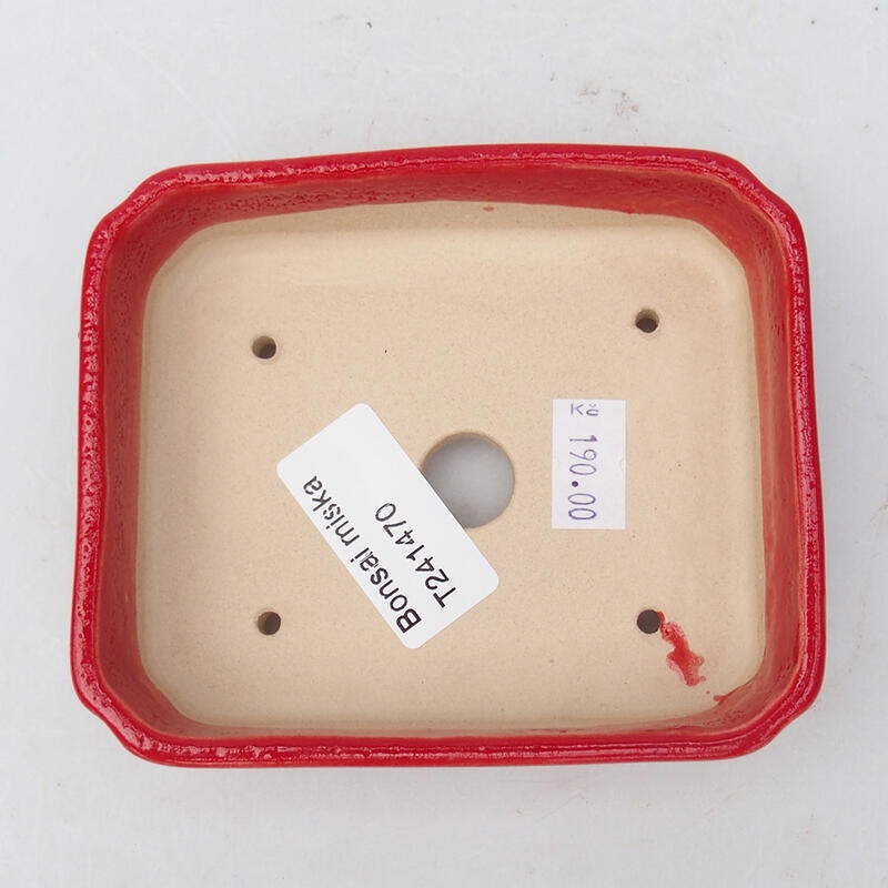 Ciotola per bonsai in ceramica 11 x 9,5 x 3 cm, colore rosso
