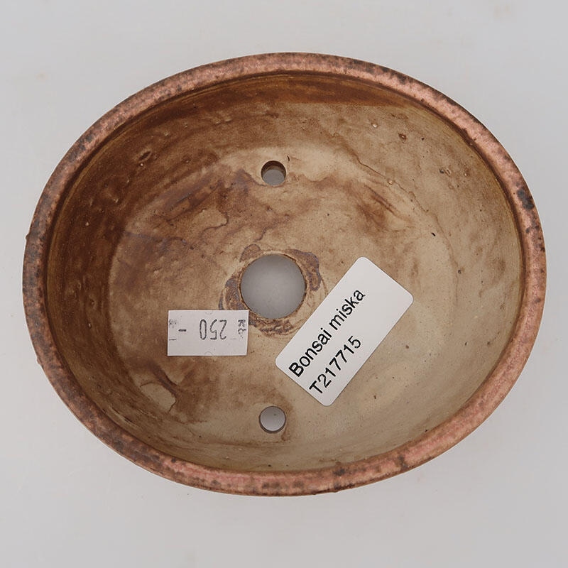 Ciotola bonsai in ceramica 11 x 9,5 x 5 cm, rosa