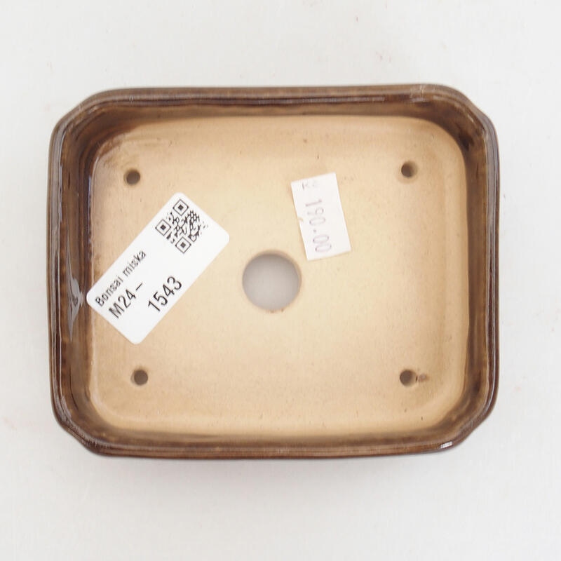 Ciotola bonsai in ceramica 11 x 9 x 3,5 cm, marrone