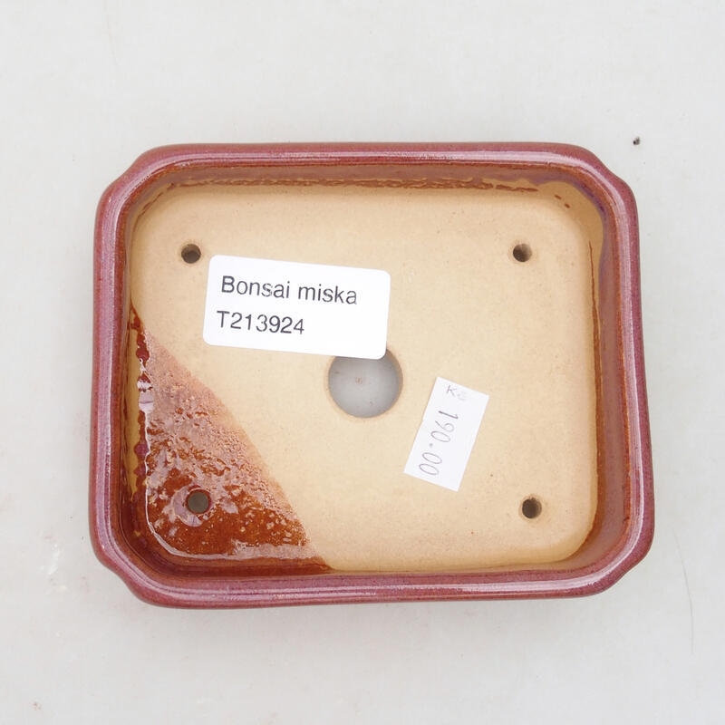 Ciotola bonsai in ceramica 11 x 9 x 3 cm, rosa