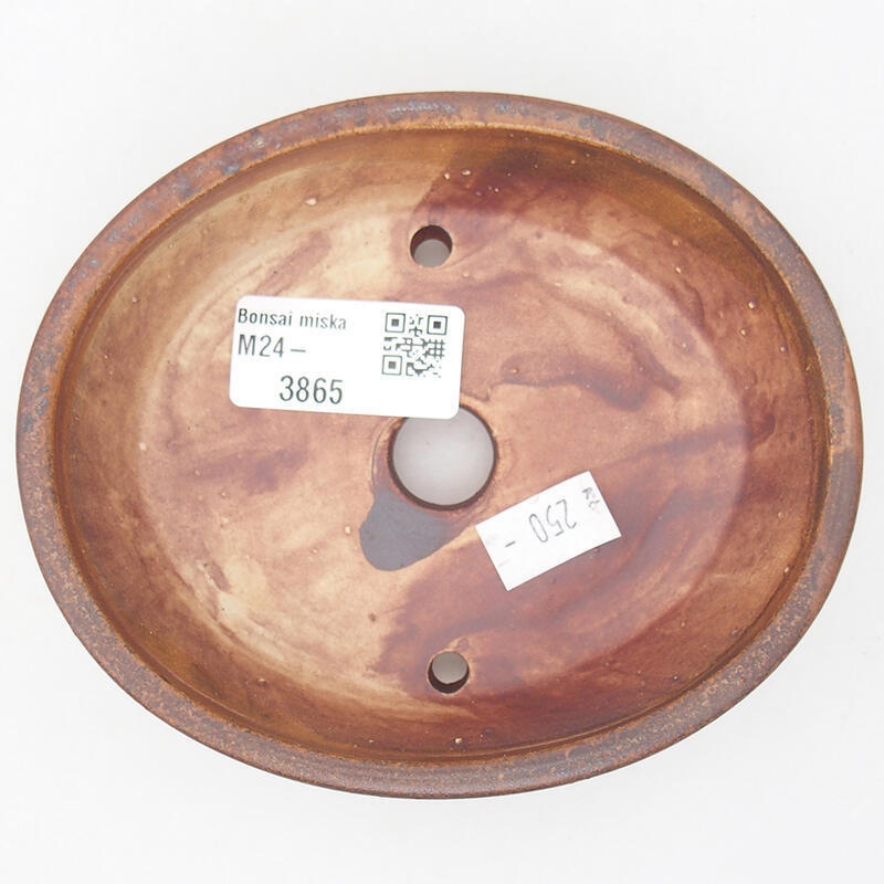 Ciotola per bonsai in ceramica 12,5 x 10,5 x 3,5 cm, marrone