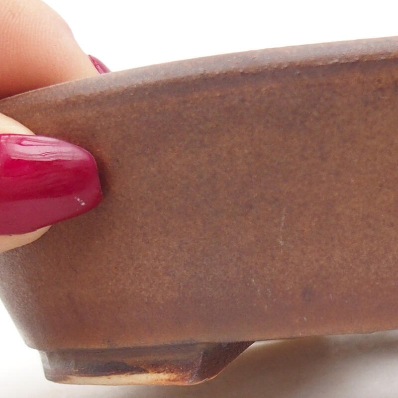 Ciotola per bonsai in ceramica 12,5 x 10,5 x 3,5 cm, marrone