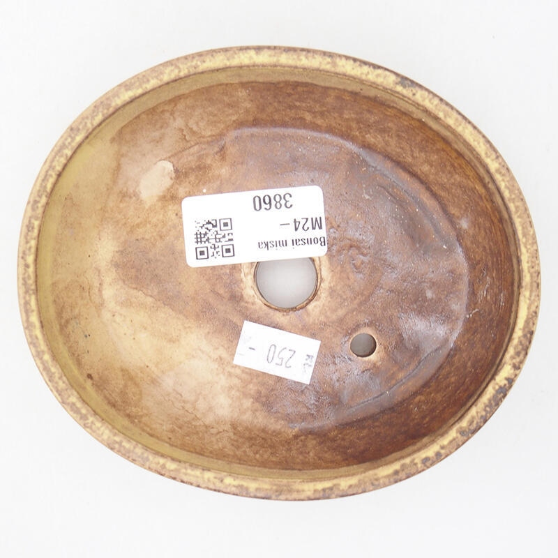 Ciotola bonsai in ceramica 12,5 x 10,5 x 3,5 cm, verde