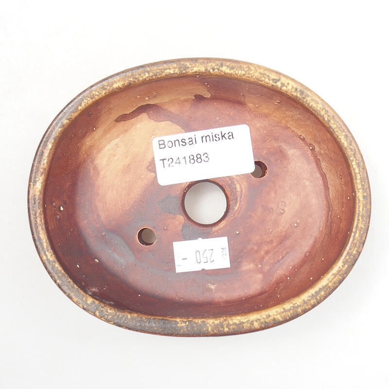 Ciotola per bonsai in ceramica 12,5 x 10,5 x 4 cm, marrone
