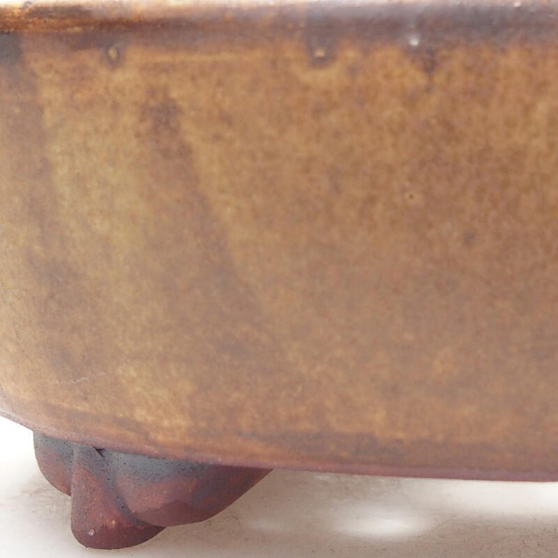 Ciotola per bonsai in ceramica 12,5 x 10,5 x 4 cm, marrone