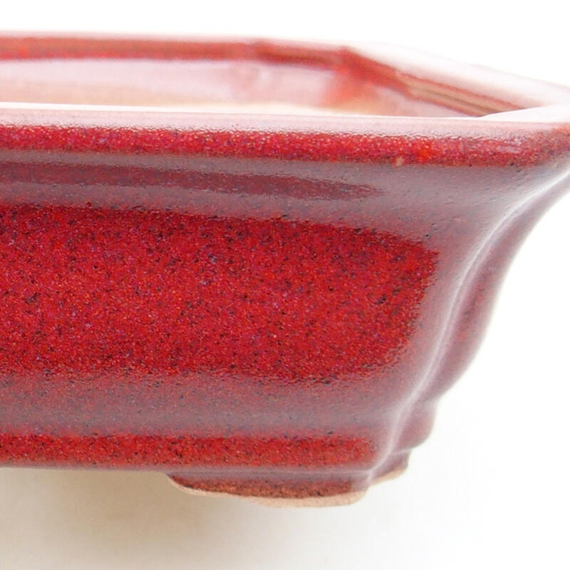 Ciotola per bonsai in ceramica 12,5 x 10 x 4 cm, colore bordeaux