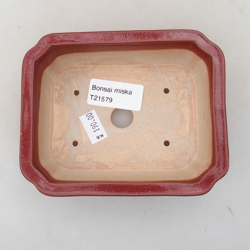 Ciotola per bonsai in ceramica 12,5 x 10 x 4 cm, colore bordeaux