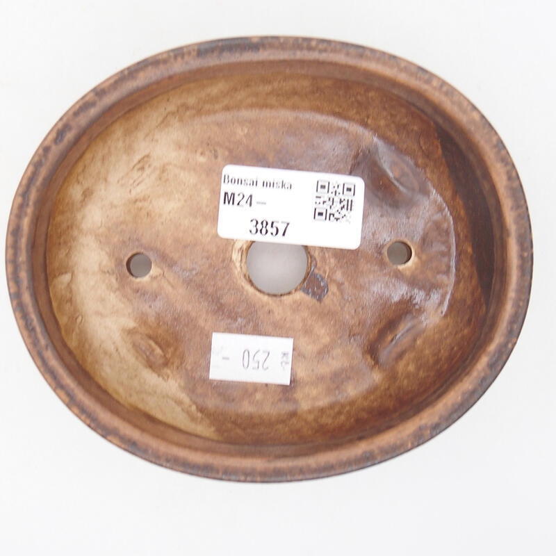 Ciotola per bonsai in ceramica 12,5 x 10 x 4 cm, marrone