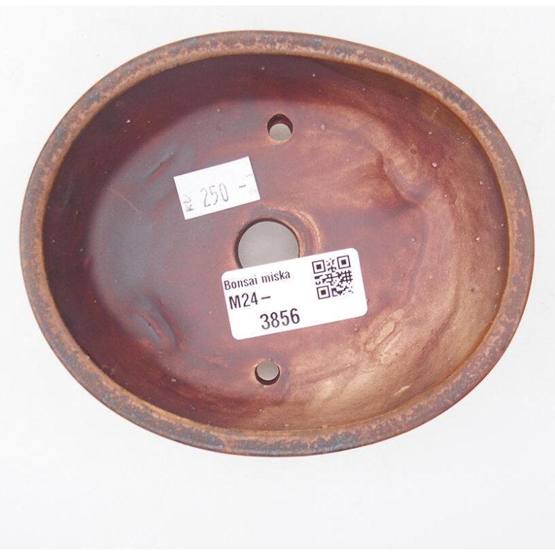 Ciotola per bonsai in ceramica 12,5 x 10 x 4 cm, marrone