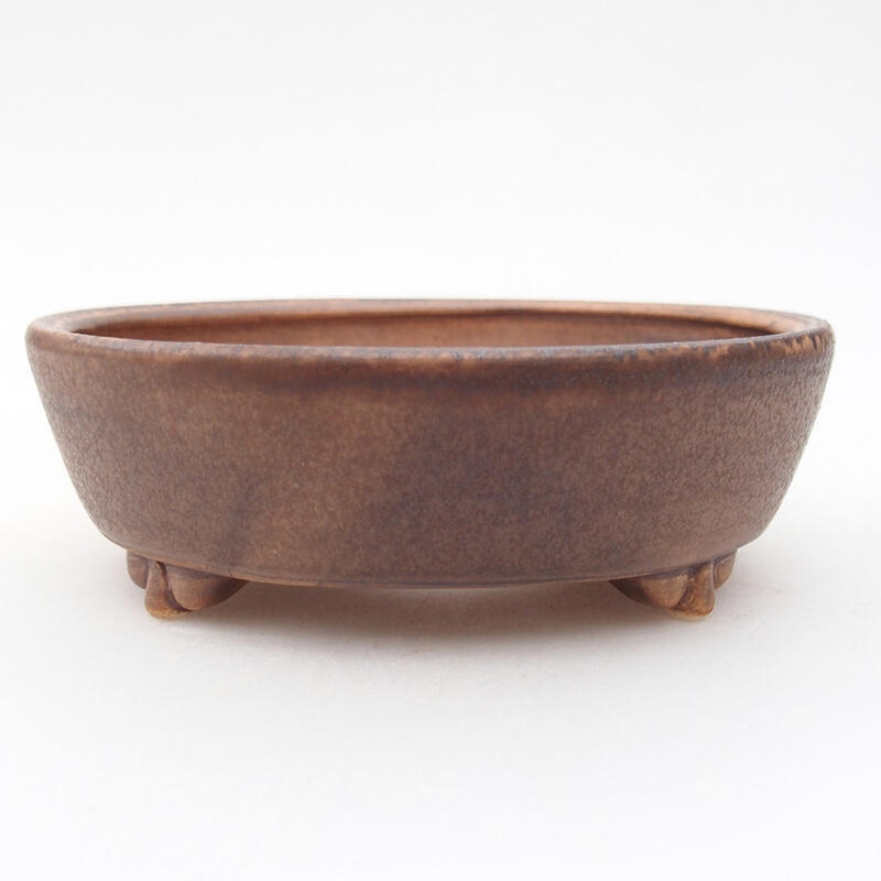 Ciotola per bonsai in ceramica 12,5 x 10 x 4 cm, marrone