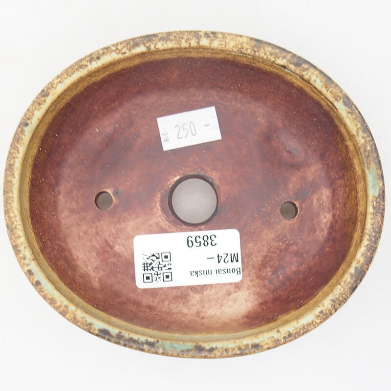 Ciotola per bonsai in ceramica 12,5 x 10 x 4 cm, verde